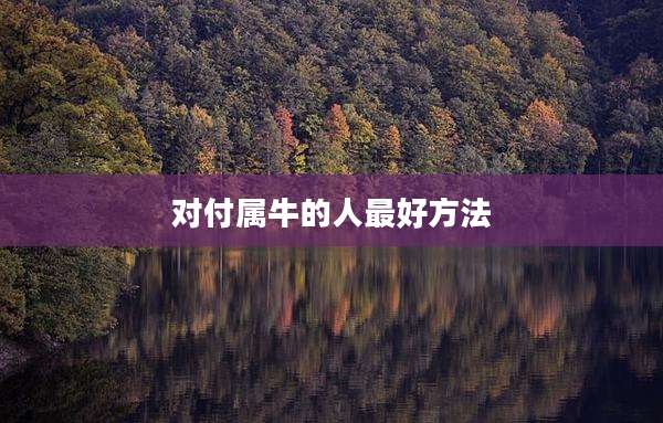 对付属牛的人最好方法