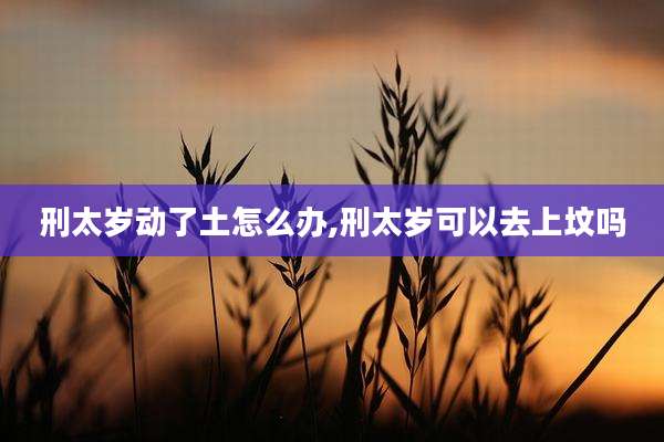刑太岁动了土怎么办,刑太岁可以去上坟吗