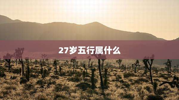 27岁五行属什么