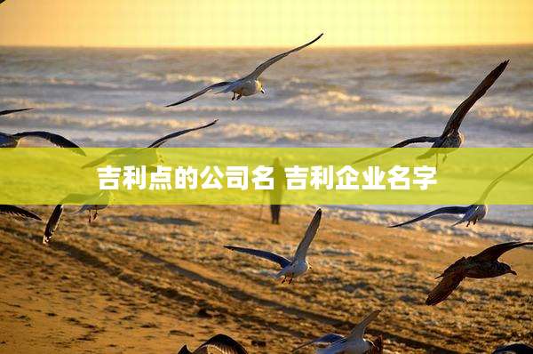 吉利点的公司名 吉利企业名字