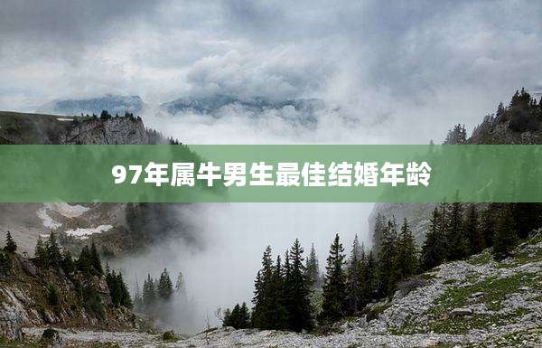 97年属牛男生最佳结婚年龄