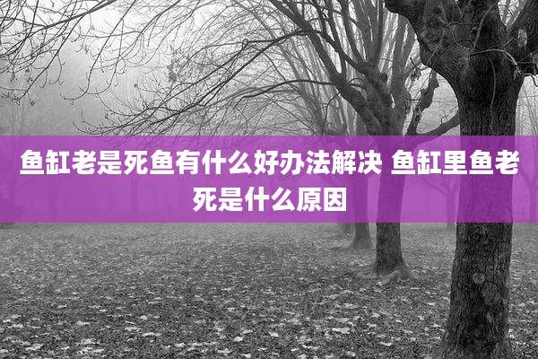 鱼缸老是死鱼有什么好办法解决 鱼缸里鱼老死是什么原因