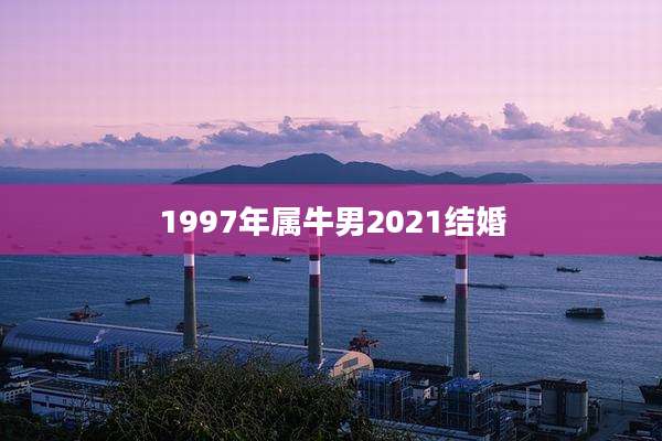 1997年属牛男2021结婚