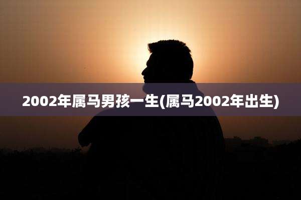 2002年属马男孩一生(属马2002年出生)