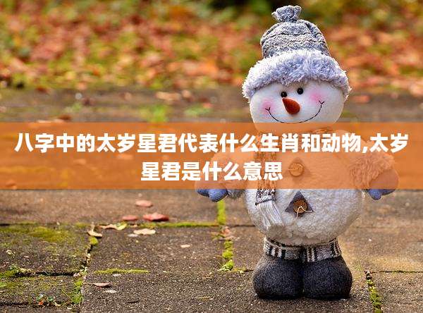 八字中的太岁星君代表什么生肖和动物,太岁星君是什么意思