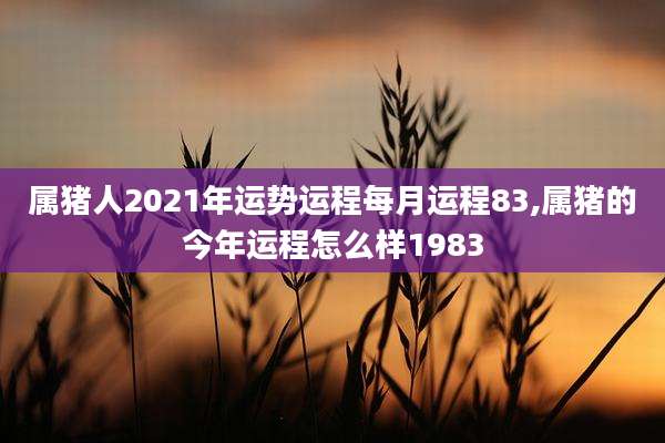 属猪人2021年运势运程每月运程83,属猪的今年运程怎么样1983