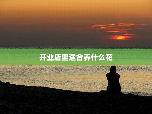 开业店里适合养什么花
