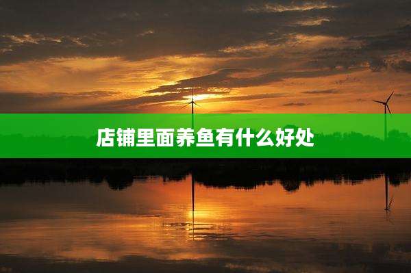 店铺里面养鱼有什么好处