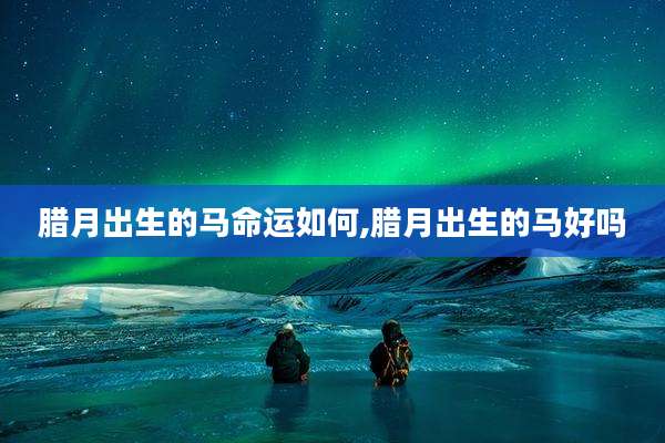 腊月出生的马命运如何,腊月出生的马好吗