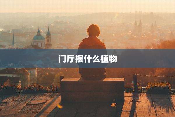 门厅摆什么植物