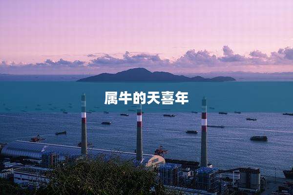 属牛的天喜年