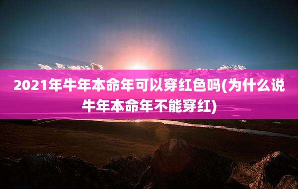 2021年牛年本命年可以穿红色吗(为什么说牛年本命年不能穿红)