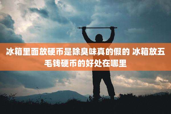 冰箱里面放硬币是除臭味真的假的 冰箱放五毛钱硬币的好处在哪里