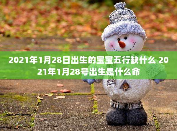 2021年1月28日出生的宝宝五行缺什么 2021年1月28号出生是什么命