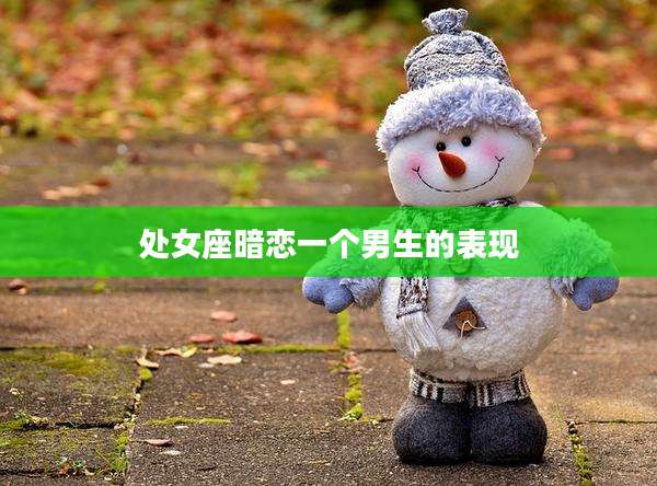 处女座暗恋一个男生的表现