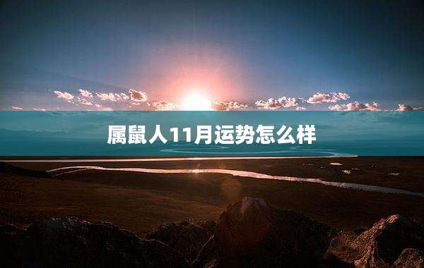 属鼠人11月运势怎么样