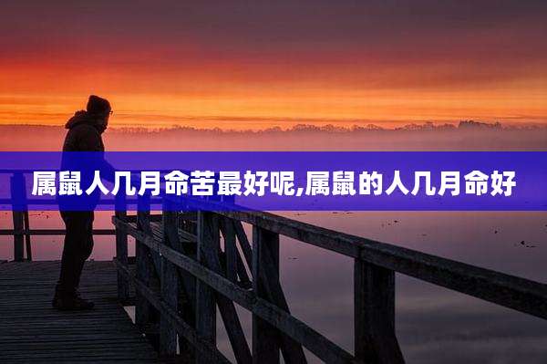 属鼠人几月命苦最好呢,属鼠的人几月命好