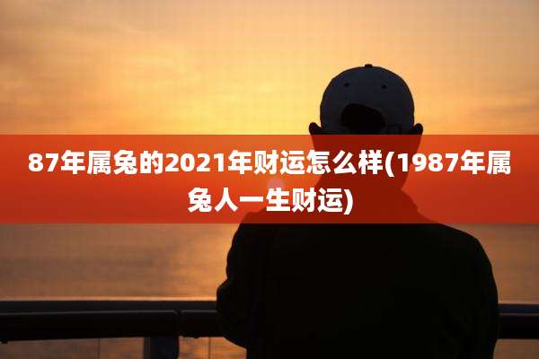 87年属兔的2021年财运怎么样(1987年属兔人一生财运)