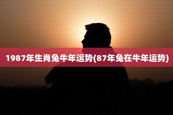 1987年生肖兔牛年运势(87年兔在牛年运势)