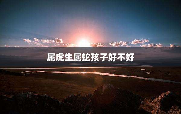 属虎生属蛇孩子好不好