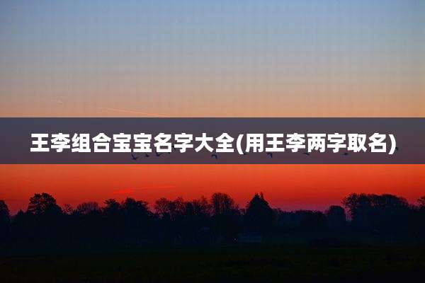 王李组合宝宝名字大全(用王李两字取名)