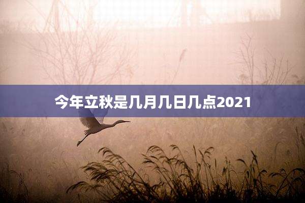 今年立秋是几月几日几点2021