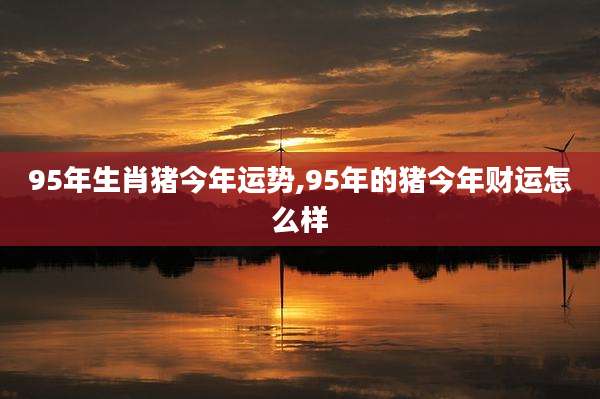 95年生肖猪今年运势,95年的猪今年财运怎么样