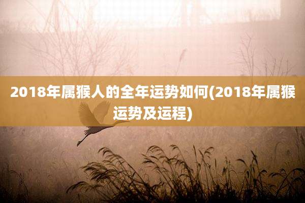 2018年属猴人的全年运势如何(2018年属猴运势及运程)