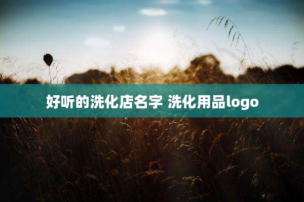好听的洗化店名字 洗化用品logo