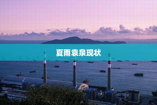 夏雨袁泉现状
