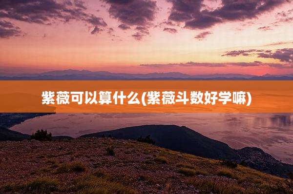 紫薇可以算什么(紫薇斗数好学嘛)