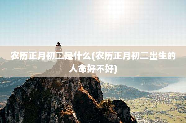 农历正月初二是什么(农历正月初二出生的人命好不好)