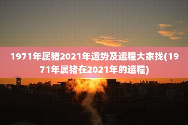 1971年属猪2021年运势及运程大家找(1971年属猪在2021年的运程)