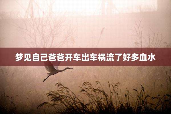 梦见自己爸爸开车出车祸流了好多血水