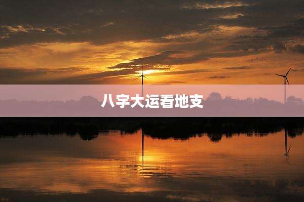 八字大运看地支