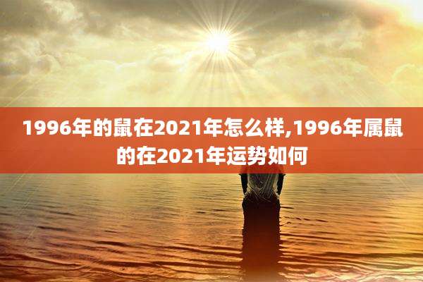 1996年的鼠在2021年怎么样,1996年属鼠的在2021年运势如何