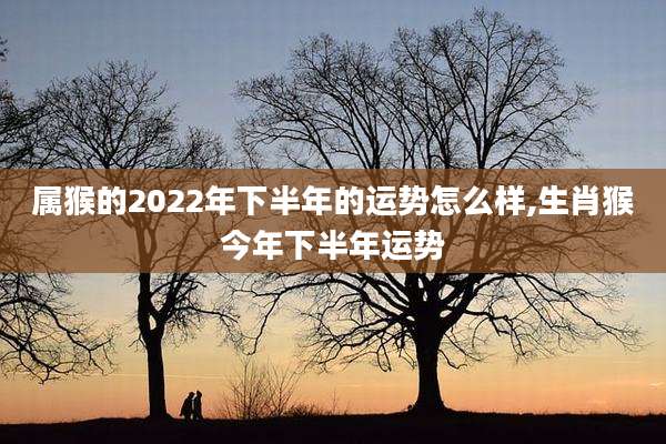 属猴的2022年下半年的运势怎么样,生肖猴今年下半年运势