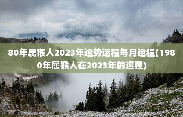 80年属猴人2023年运势运程每月运程(1980年属猴人在2023年的运程)