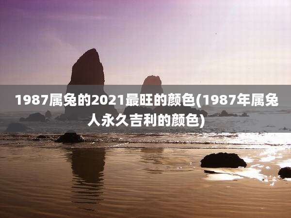 1987属兔的2021最旺的颜色(1987年属兔人永久吉利的颜色)