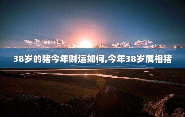 38岁的猪今年财运如何,今年38岁属相猪