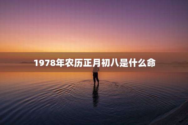 1978年农历正月初八是什么命