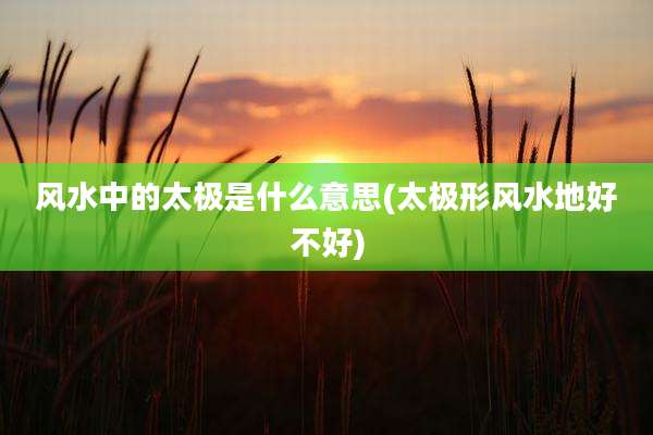 风水中的太极是什么意思(太极形风水地好不好)