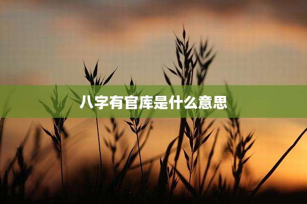 八字有官库是什么意思