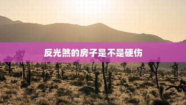 反光煞的房子是不是硬伤