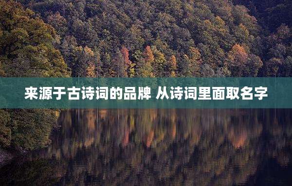 来源于古诗词的品牌 从诗词里面取名字