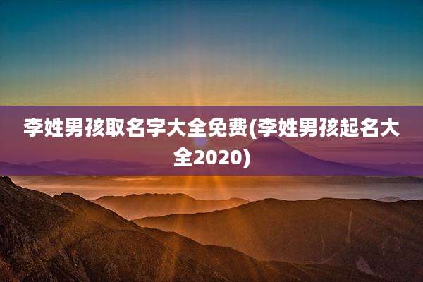 李姓男孩取名字大全免费(李姓男孩起名大全2020)