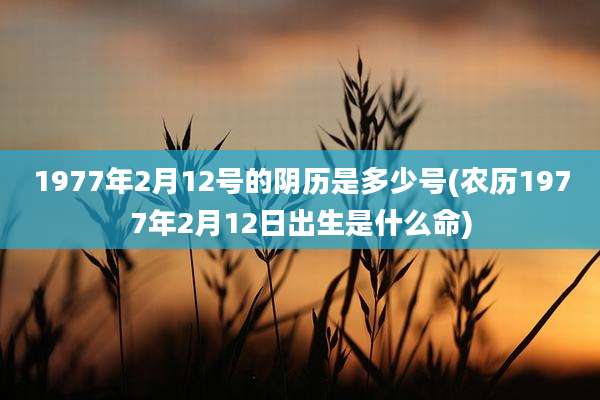 1977年2月12号的阴历是多少号(农历1977年2月12日出生是什么命)