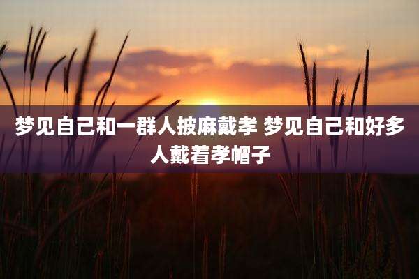 梦见自己和一群人披麻戴孝 梦见自己和好多人戴着孝帽子