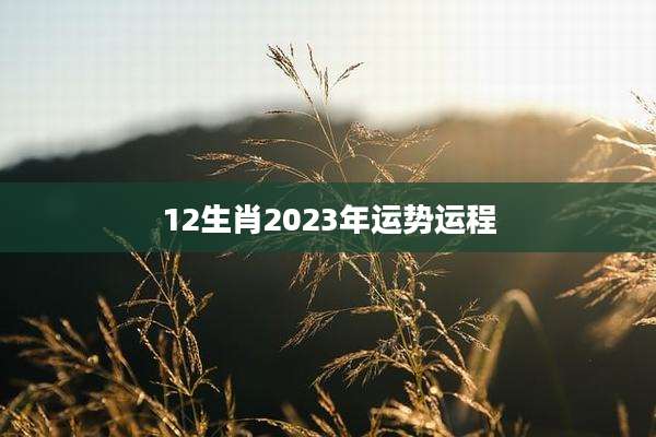 12生肖2023年运势运程