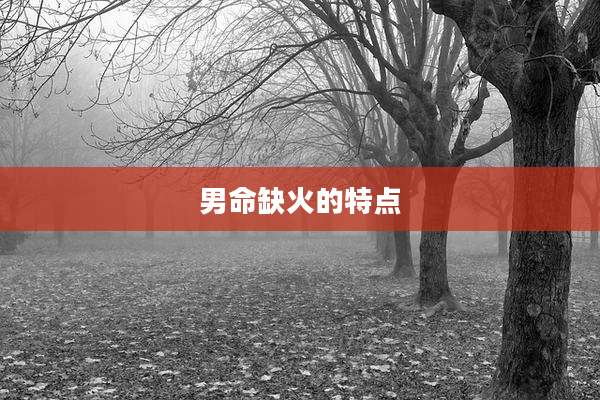 男命缺火的特点